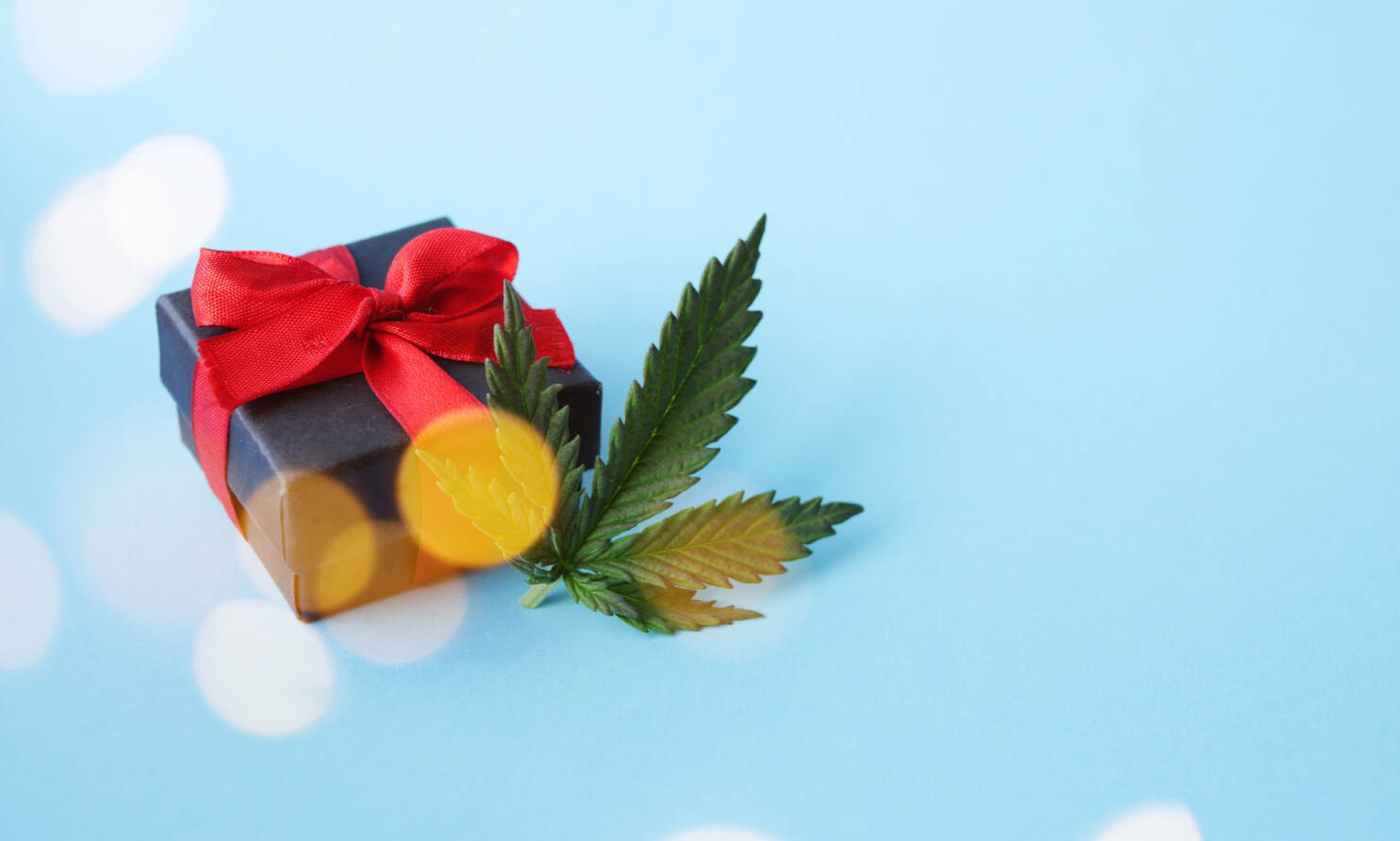 gifts for your weed friends