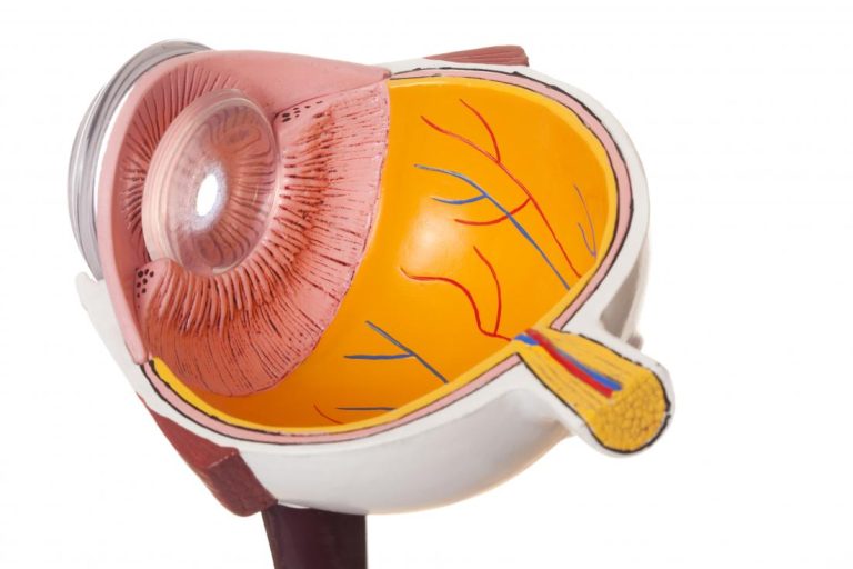 central serous chorioretinopathy treatment